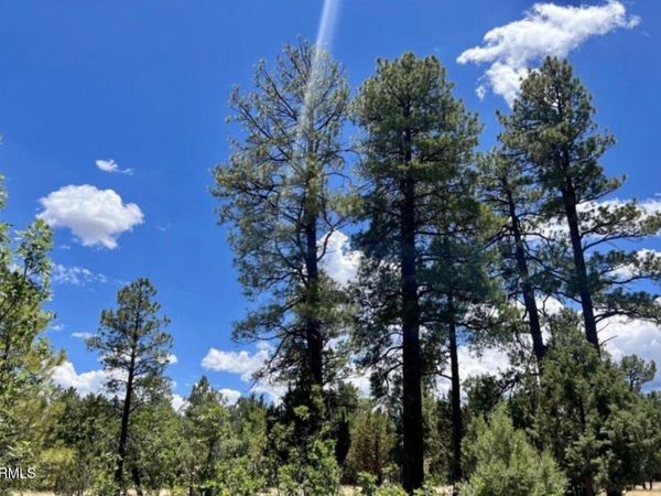 4453 NAVAJO Drive, Unit 358, Happy Jack, AZ 86024