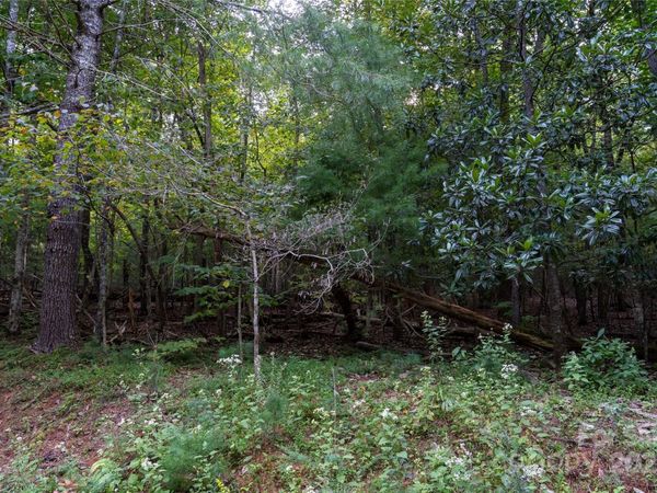 0 Swans Way E, Lake Lure, NC 28746