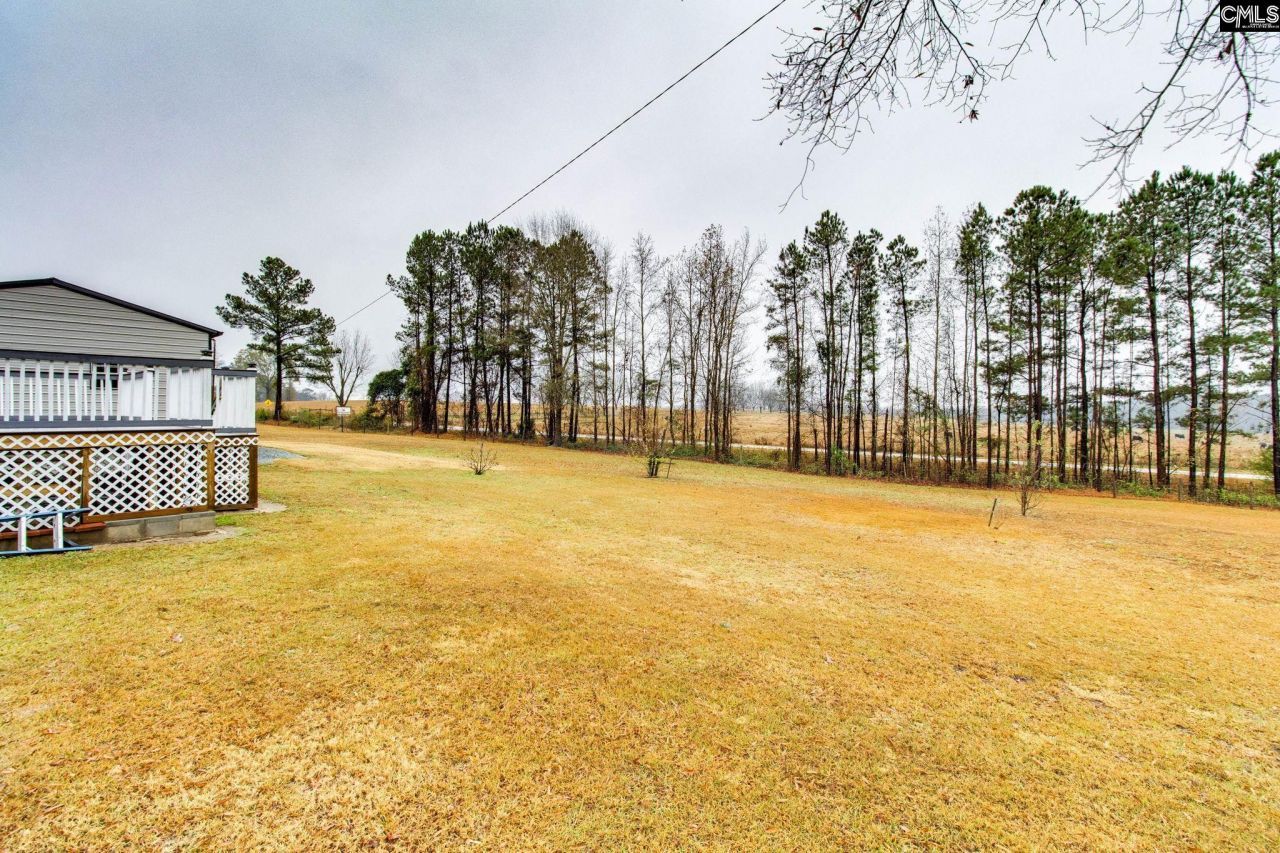 10160 Hornsboro Road Photo 20