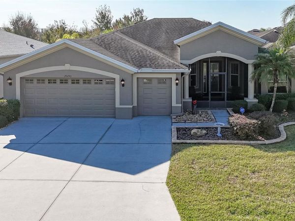 29290 GRASS BUNKER DRIVE, SAN ANTONIO, FL 33576