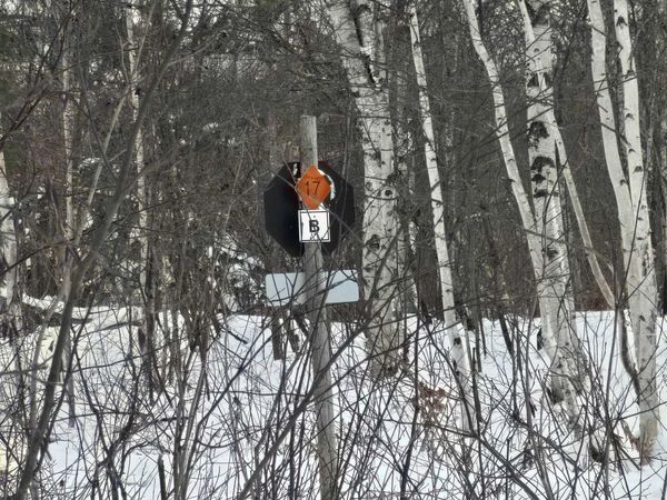 TBD Electric Park Road, Franklin Twp, MI 49913