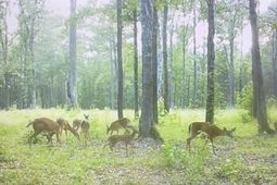 450 River Blf Trail photo 4