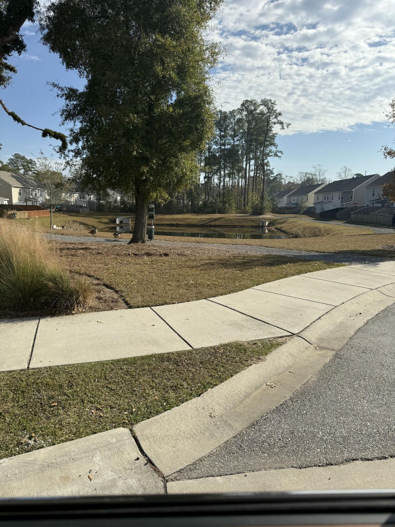 176 Spencer Circle Photo 28