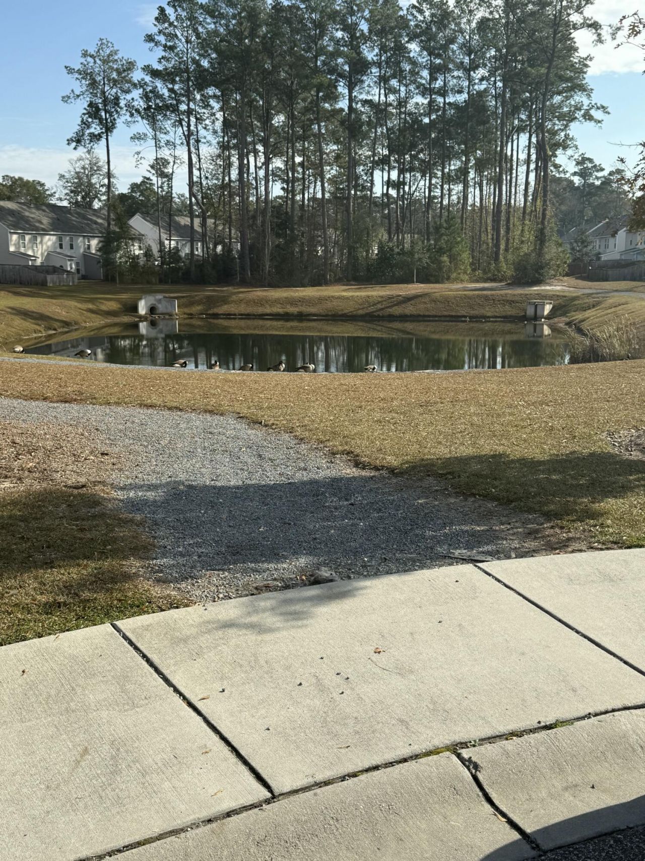 176 Spencer Circle Photo 29