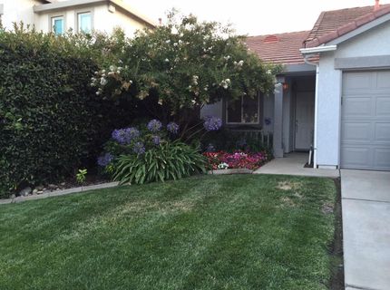 1421 Vigo Ct, Davis, CA 95618 Photo