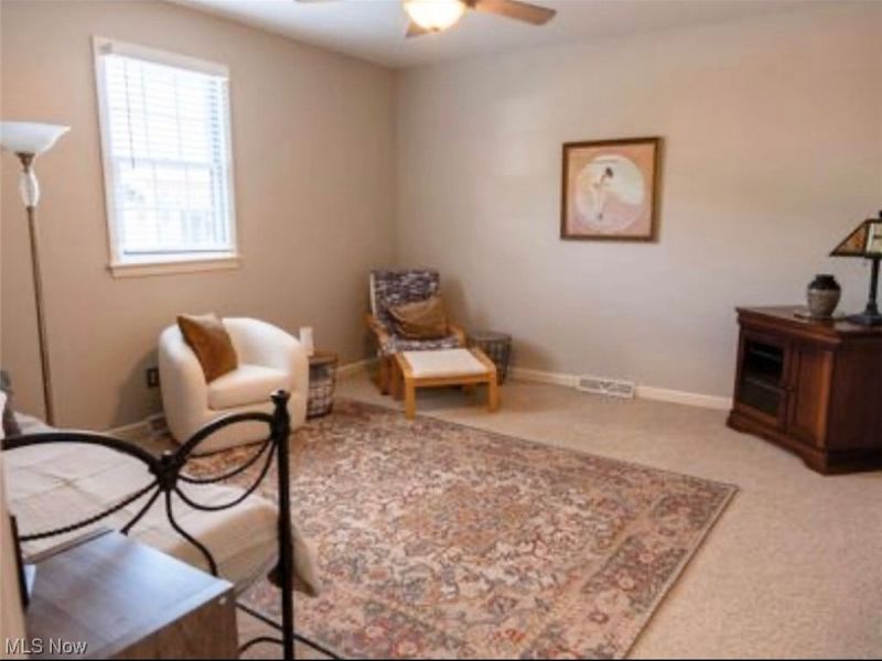 950 Country Manor Lane, North Lima, OH 44452 Photo 23