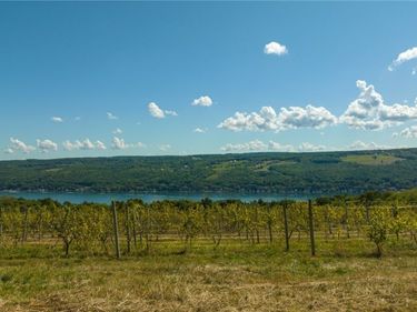 Lot A County Route 76, Hammondsport, NY 14840