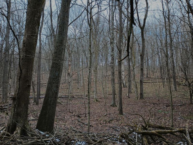 0 Chatham Road, Newark, OH 43055 Photo 3