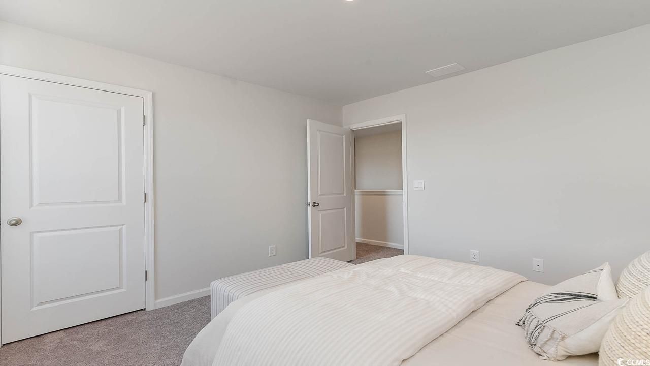 257 Ridley St Photo 26