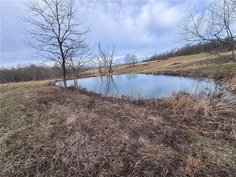 8627 N State Route 376 NW, McConnelsville, OH 43756 Photo 24