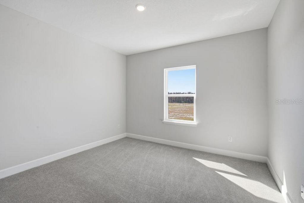 35074 Emberview Drive, Zephyrhills, FL 33541 Photo