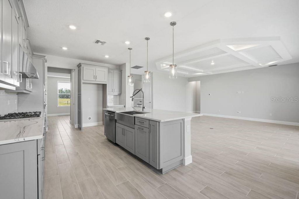 35074 Emberview Drive, Zephyrhills, FL 33541 Photo