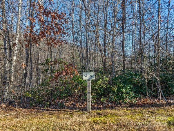 211 Ladys Fern Trail, Laurel Park, NC 28739