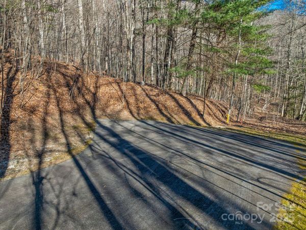 TBD Ladys Fern Trail, Laurel Park, NC 28739