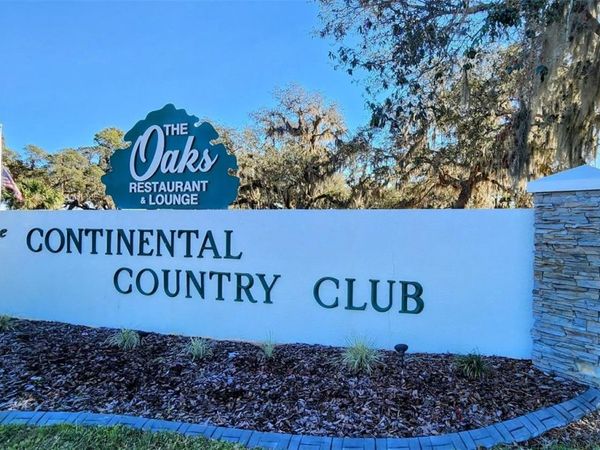 108 WINTERBERRY AVENUE, WILDWOOD, FL 34785