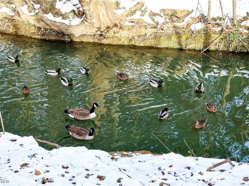 5979 Twin Lakes Drive, Parma, OH 44129 Photo 39