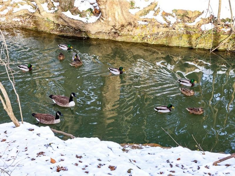 5979 Twin Lakes Drive, Parma, OH 44129 Photo 40