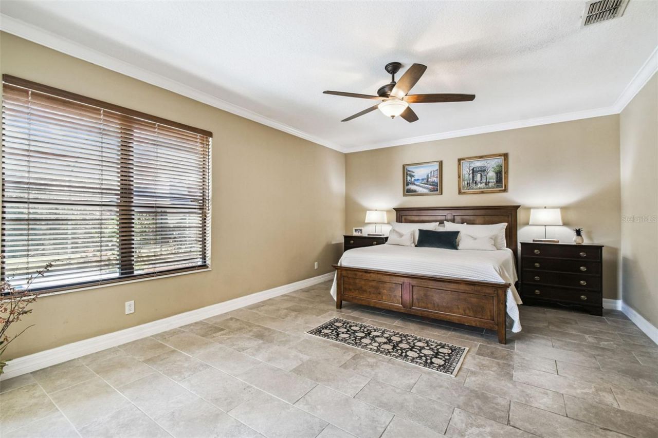 3811 Ivydale Court, Land O Lakes, FL 34638 Photo