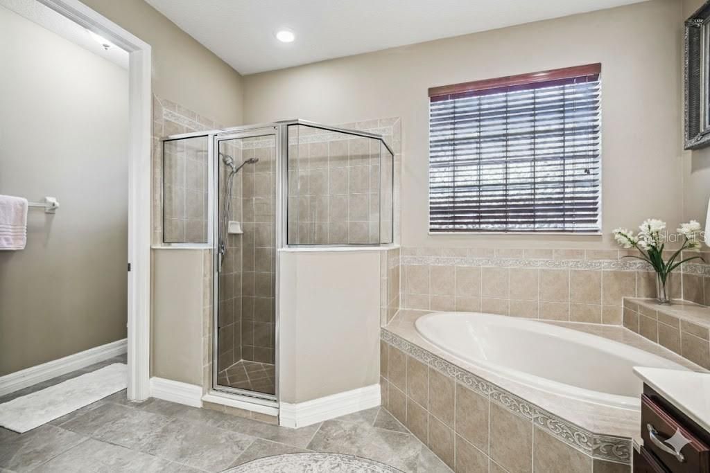 3811 Ivydale Court, Land O Lakes, FL 34638 Photo