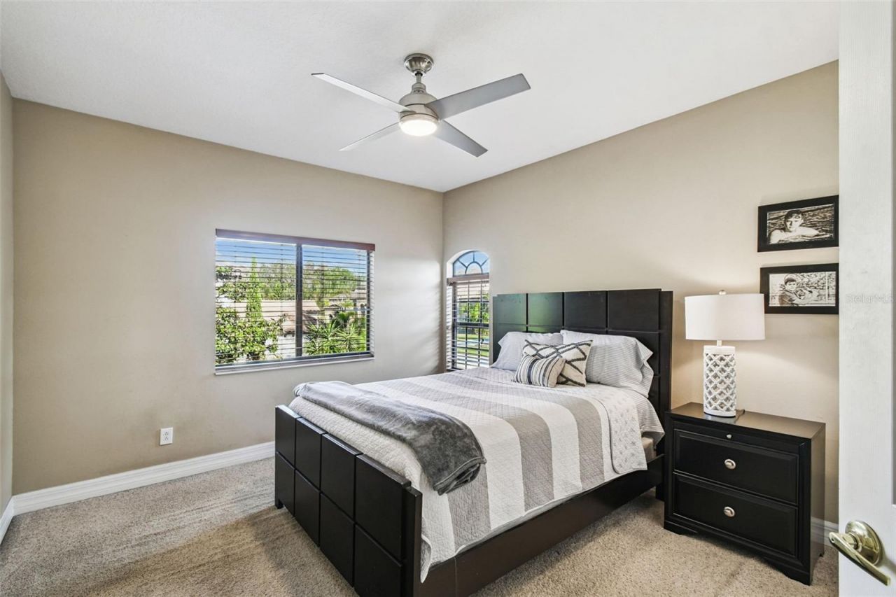 3811 Ivydale Court, Land O Lakes, FL 34638 Photo