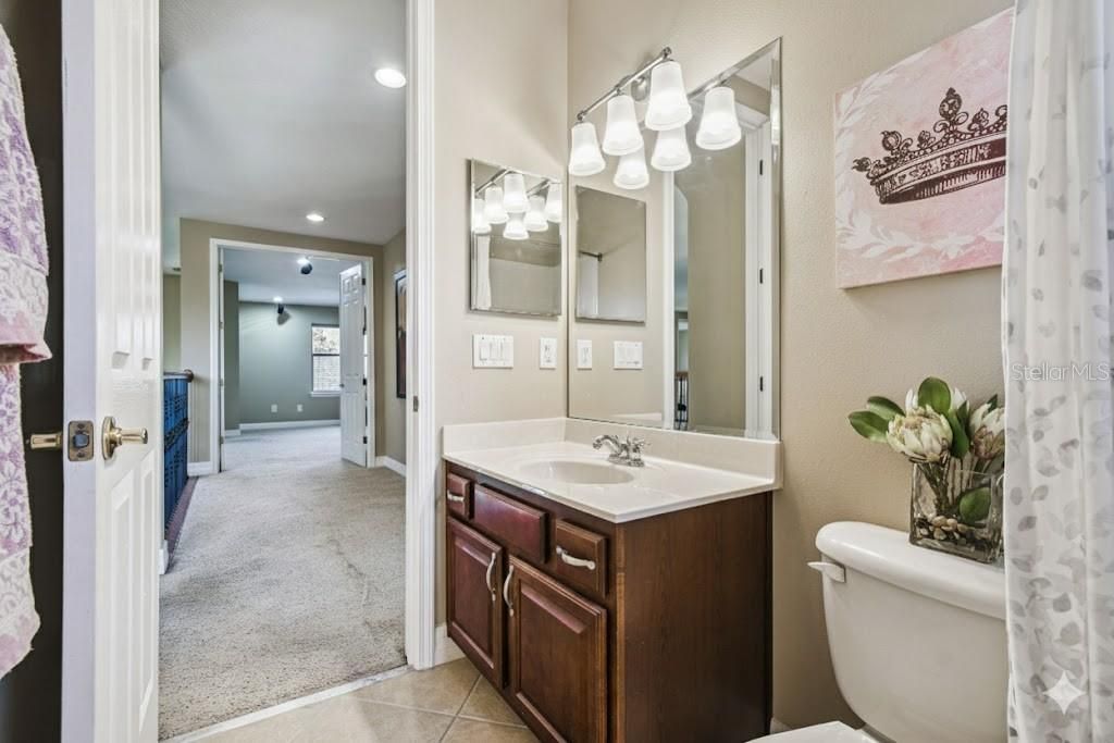 3811 Ivydale Court, Land O Lakes, FL 34638 Photo