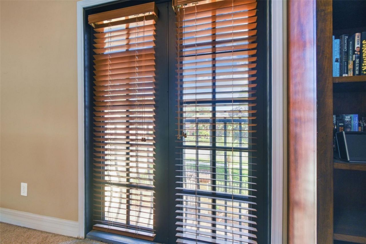 3811 Ivydale Court, Land O Lakes, FL 34638 Photo