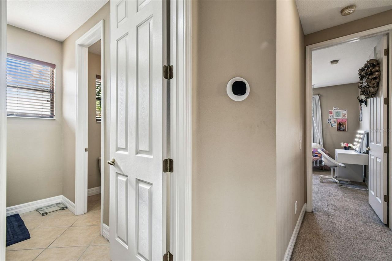 3811 Ivydale Court, Land O Lakes, FL 34638 Photo