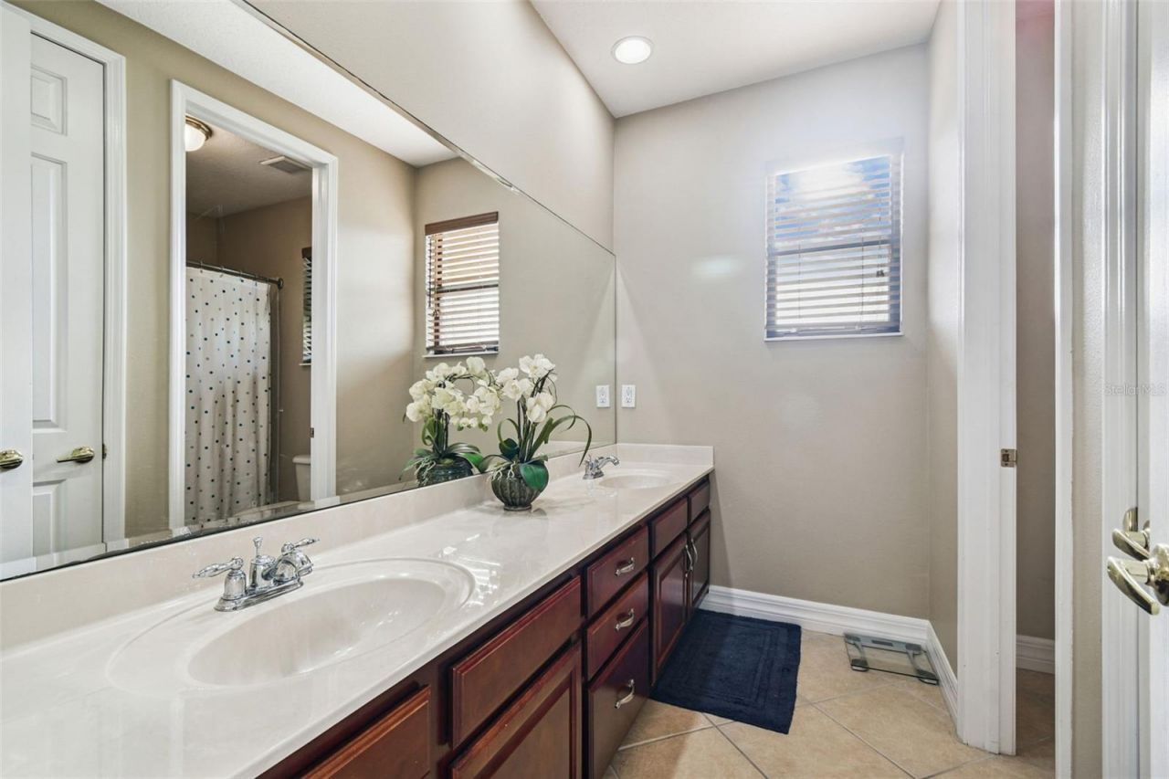 3811 Ivydale Court, Land O Lakes, FL 34638 Photo