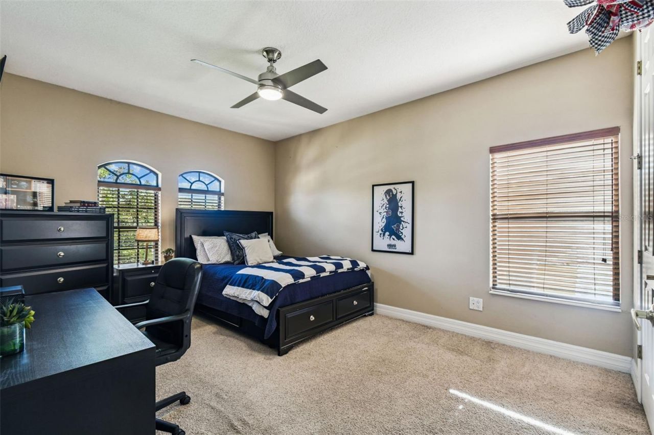 3811 Ivydale Court, Land O Lakes, FL 34638 Photo