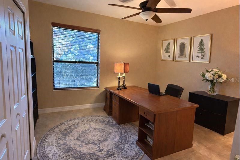 3811 Ivydale Court, Land O Lakes, FL 34638 Photo