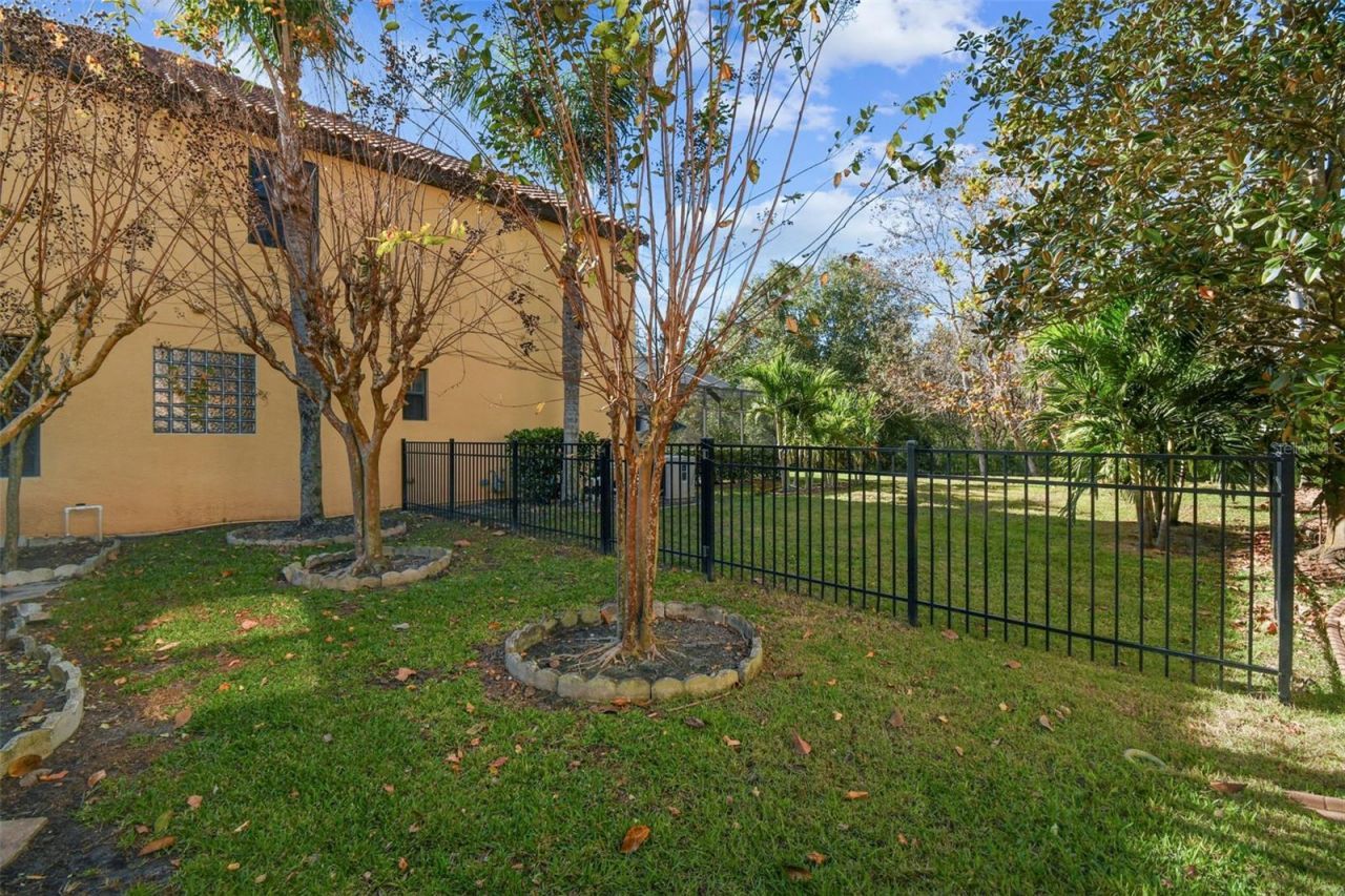 3811 Ivydale Court, Land O Lakes, FL 34638 Photo