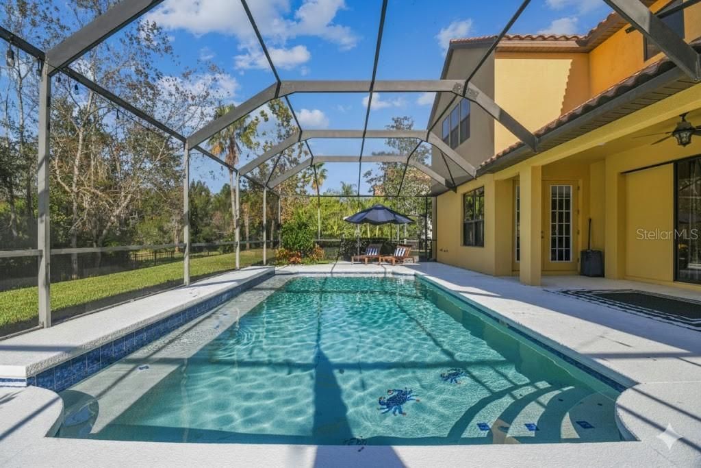 3811 Ivydale Court, Land O Lakes, FL 34638 Photo
