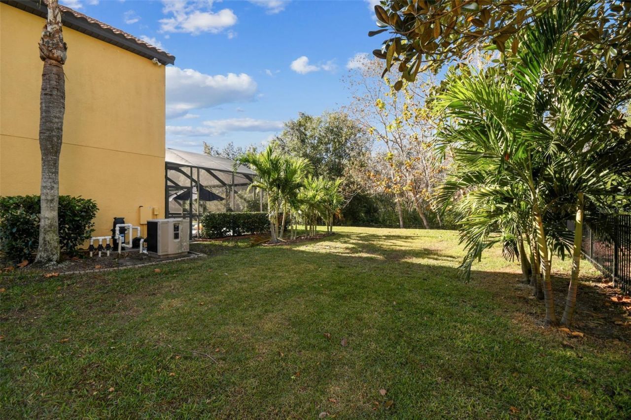 3811 Ivydale Court, Land O Lakes, FL 34638 Photo