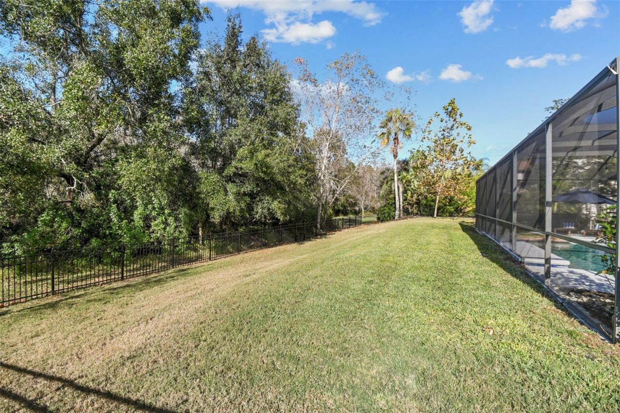 3811 Ivydale Court, Land O Lakes, FL 34638 Photo