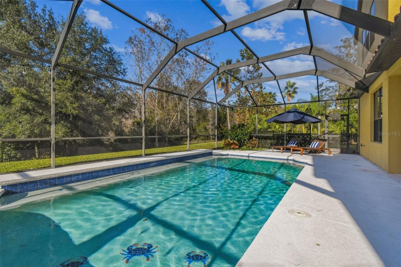 3811 Ivydale Court, Land O Lakes, FL 34638 Photo