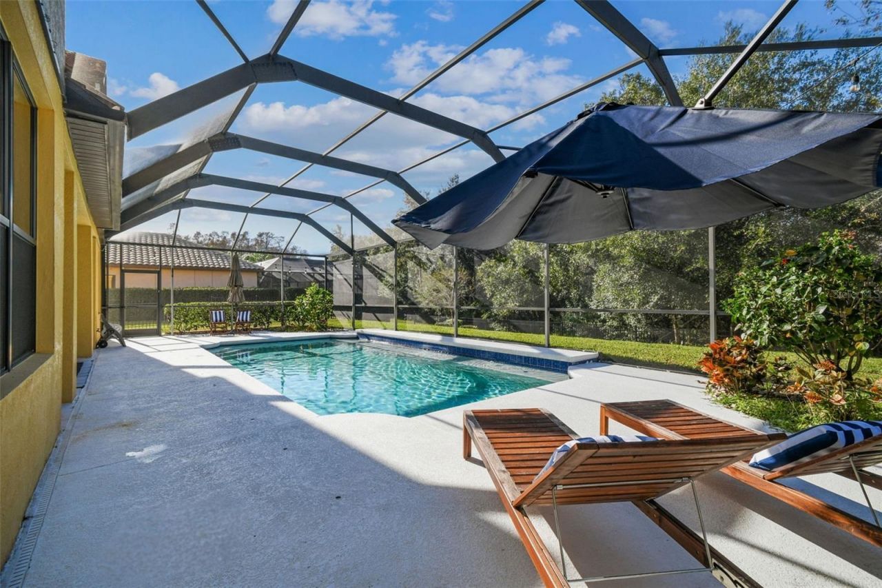 3811 Ivydale Court, Land O Lakes, FL 34638 Photo