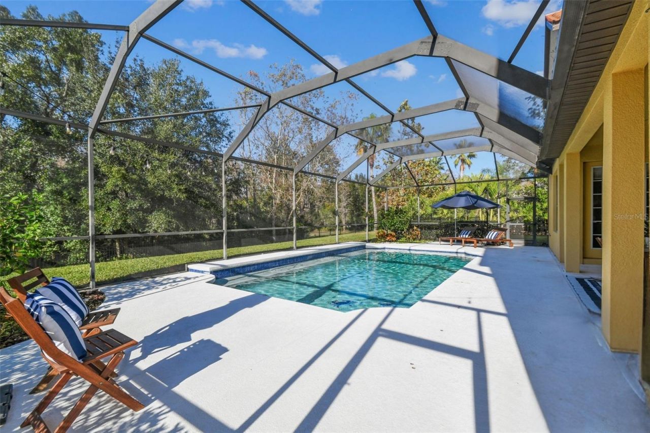 3811 Ivydale Court, Land O Lakes, FL 34638 Photo