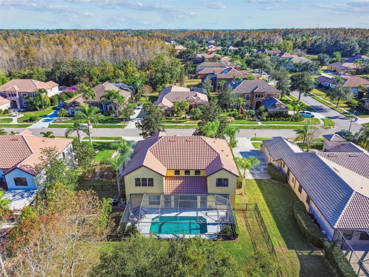 3811 Ivydale Court, Land O Lakes, FL 34638 Photo