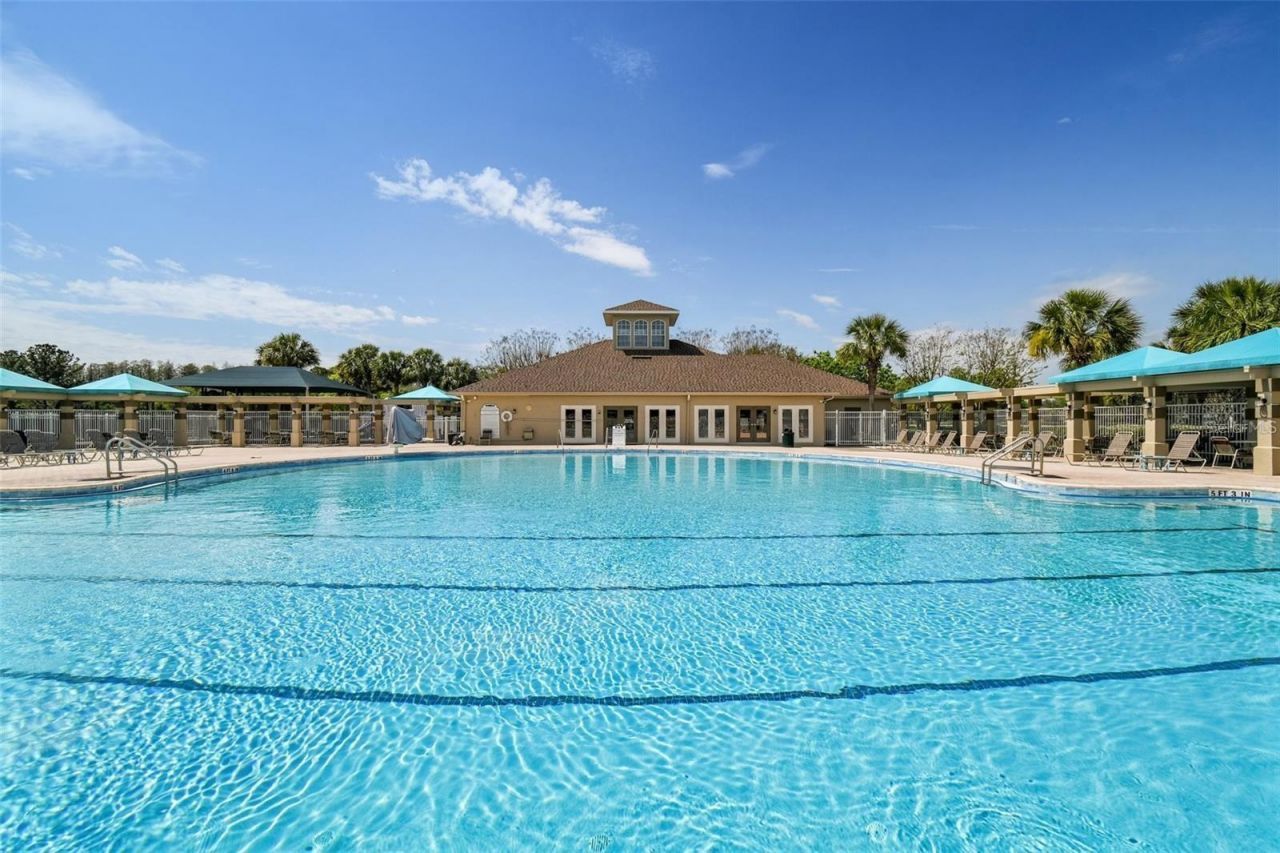 3811 Ivydale Court, Land O Lakes, FL 34638 Photo