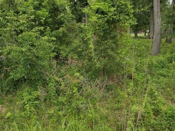 0 Easy Way Street, Irvington, AL 36544