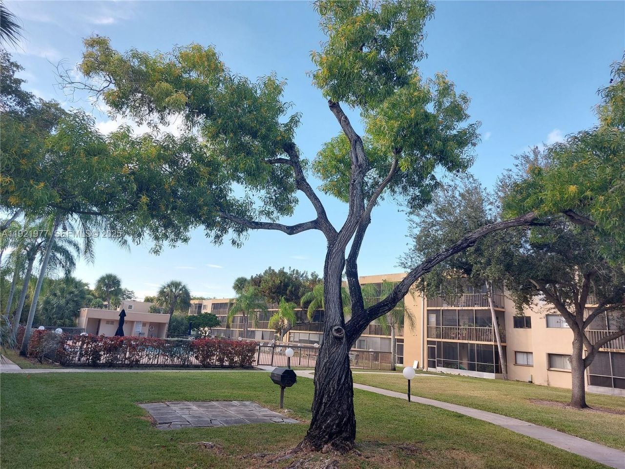 8415 SW 107th Ave, Unit 255W, Miami, FL 33173 Photo