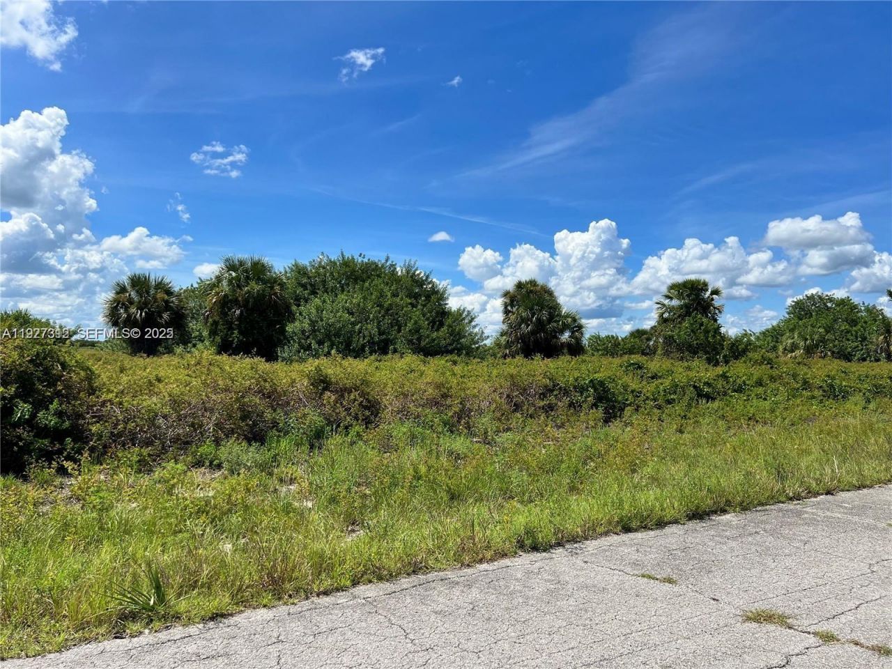 800 Berkshire, La Belle, FL 33935 Photo