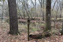 0 Parkers Ferry Rd Road photo 4