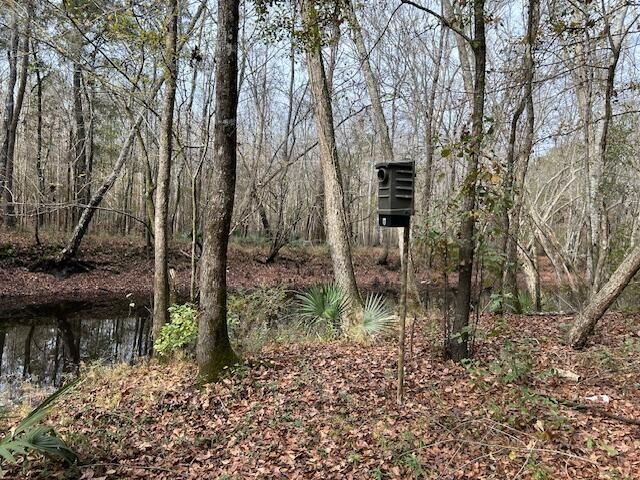 0 Parkers Ferry Rd Road Photo 4