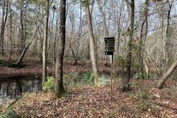 0 Parkers Ferry Rd Road photo 4