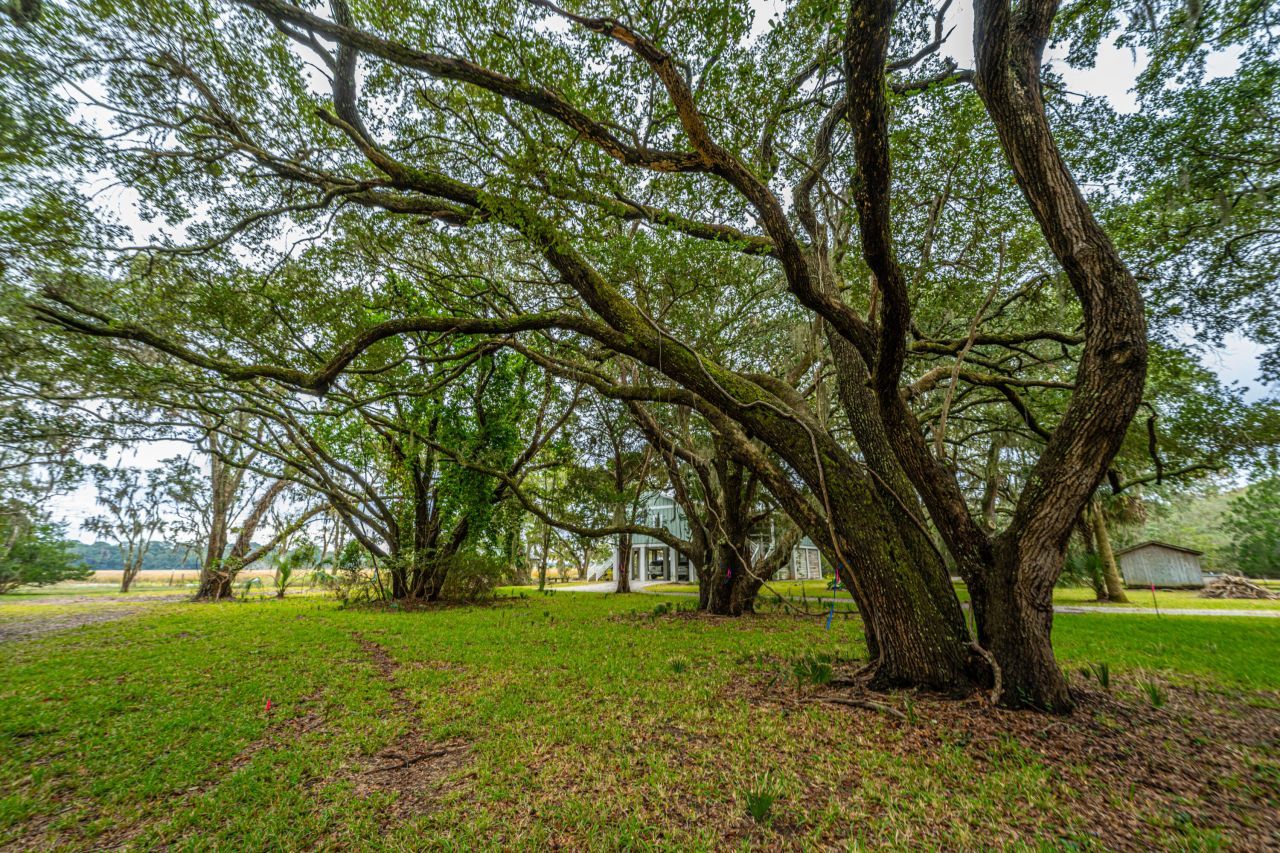 8737 Peters Point Road Photo 12