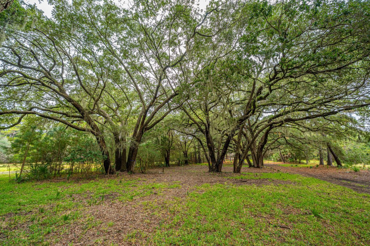 8737 Peters Point Road Photo 13