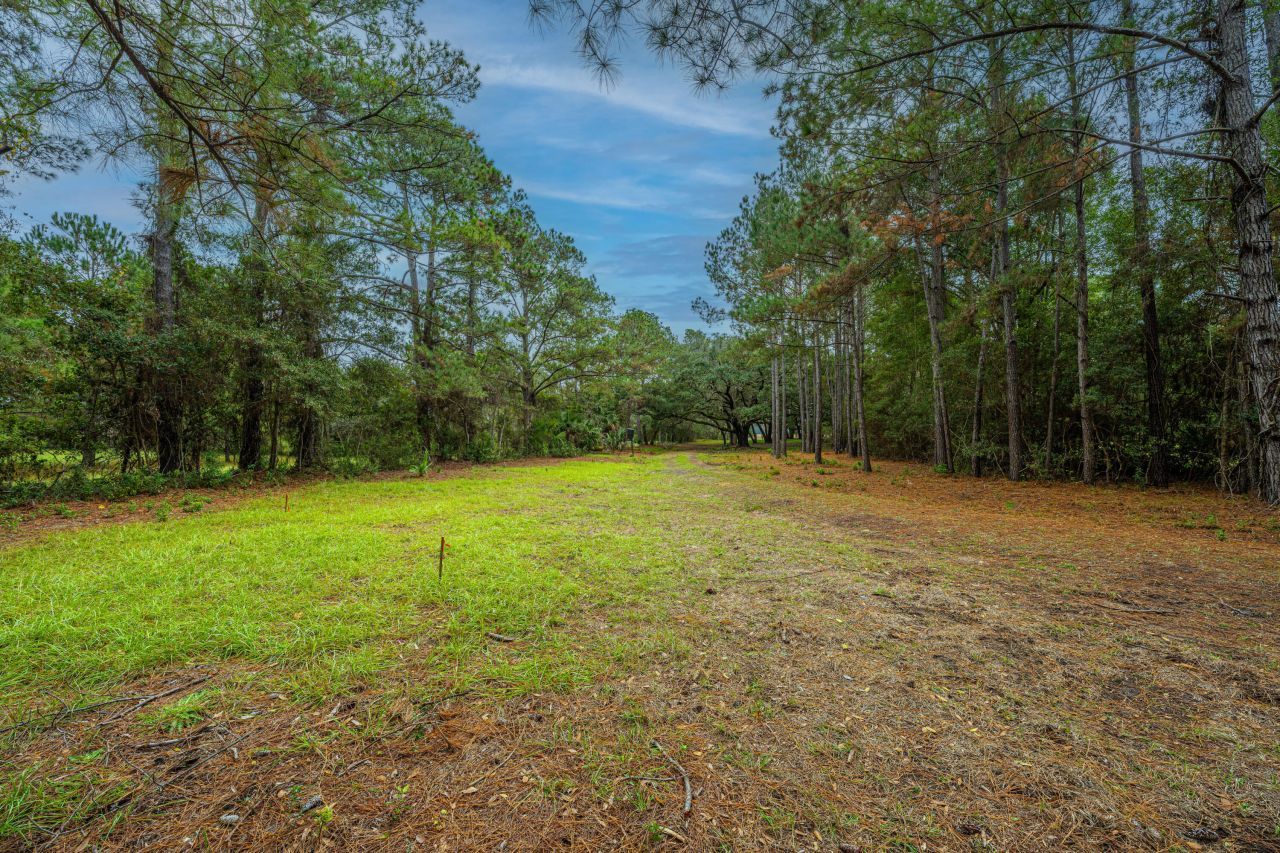 8737 Peters Point Road Photo 16