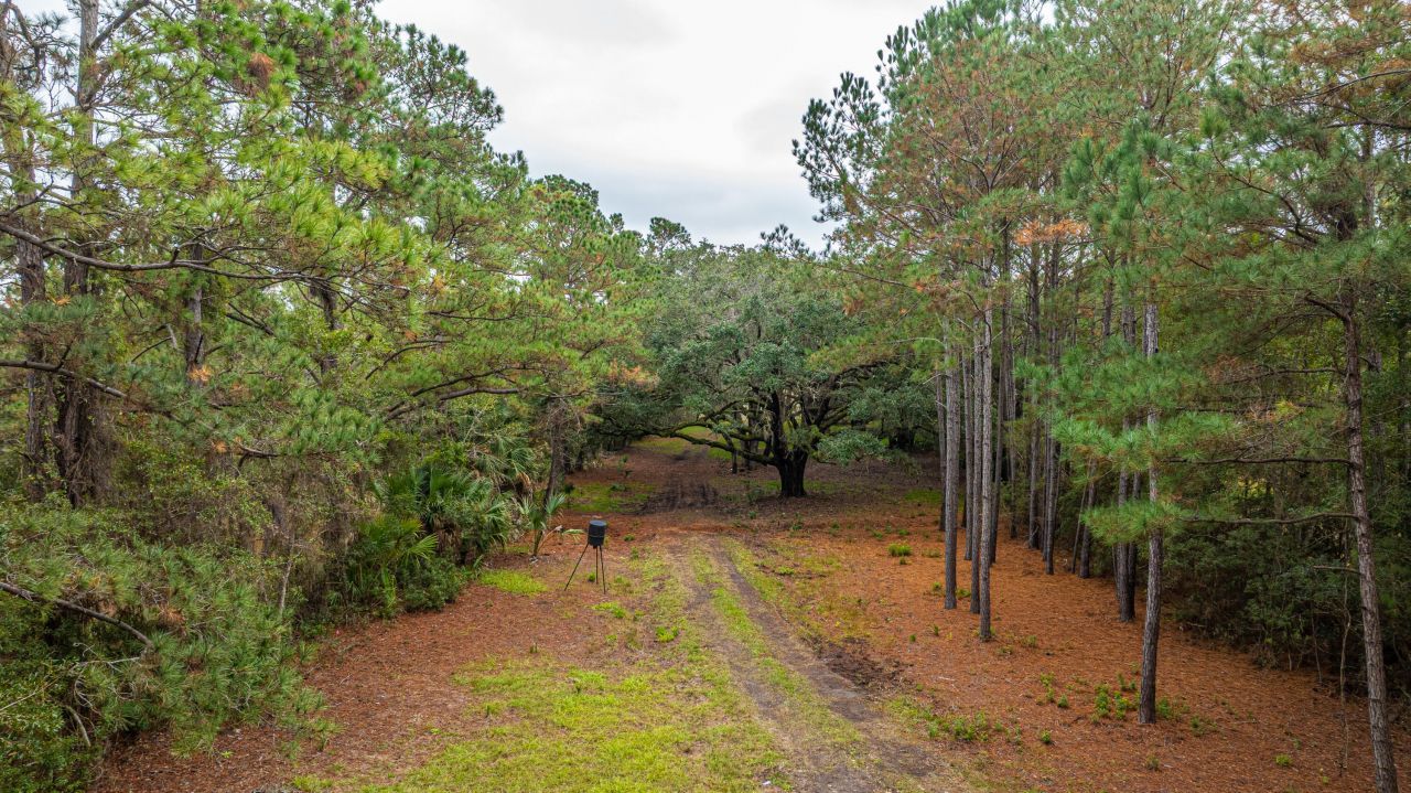 8737 Peters Point Road Photo 30