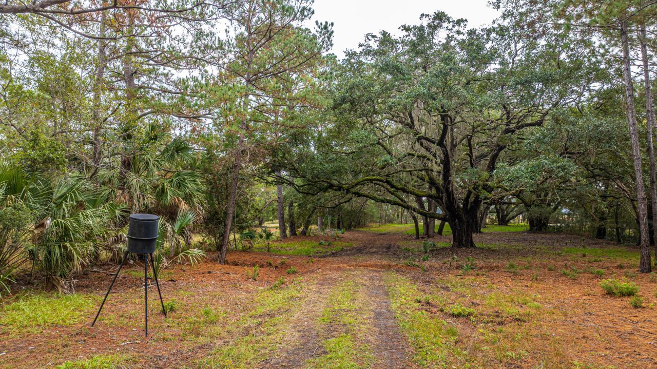 8737 Peters Point Road Photo 34